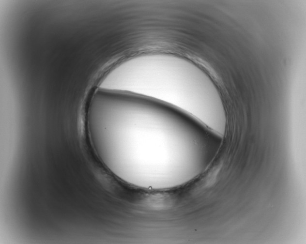X0000099400446200805081245