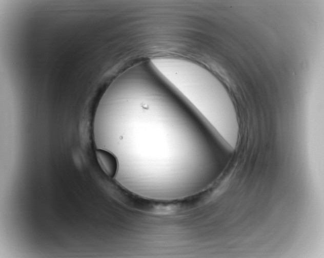 X0000099400450200805081245