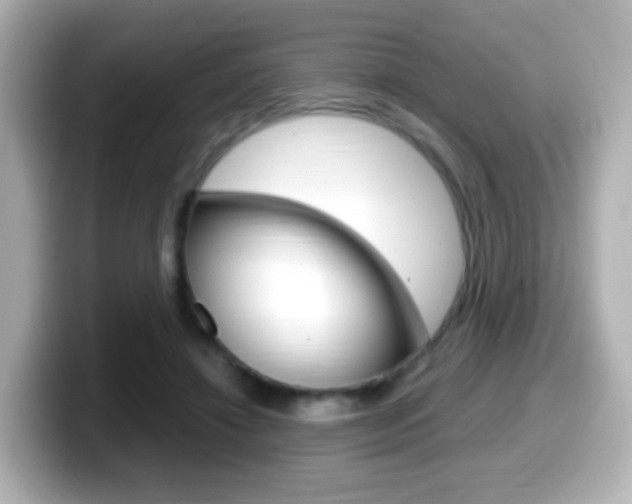 X0000099400452200805081245
