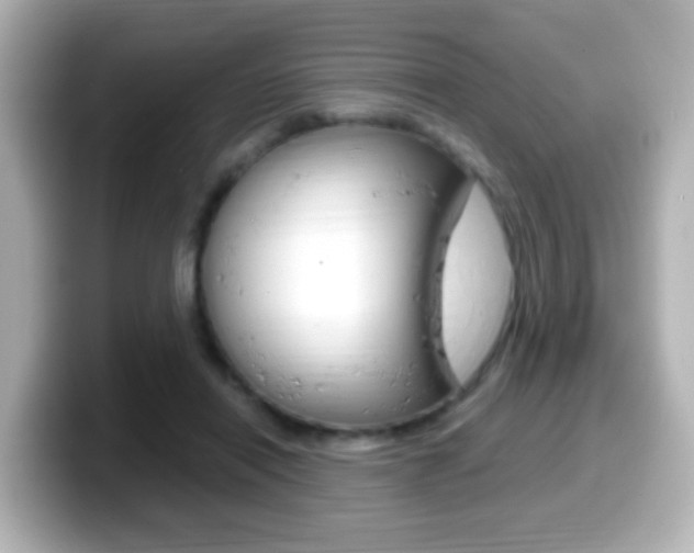 X0000099400454200805081245