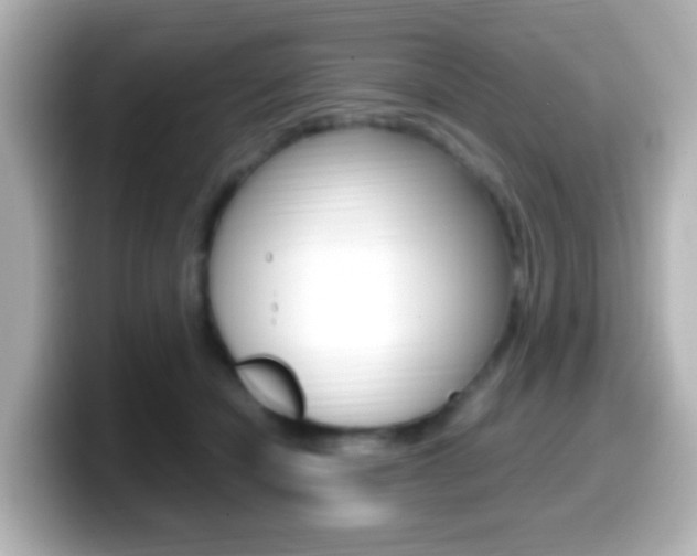 X0000099400462200805081245