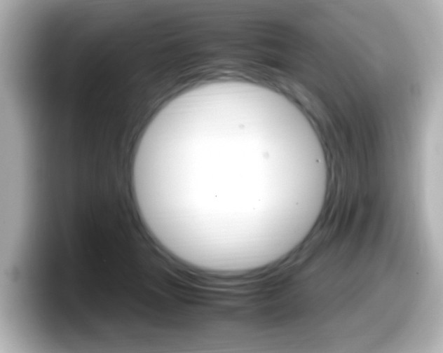 X0000099400463200805081245