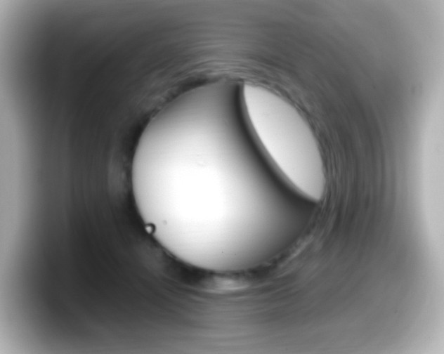 X0000099400464200805081245
