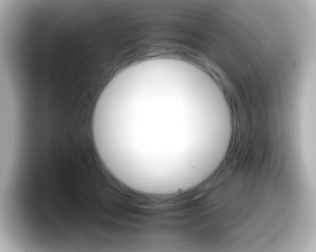 X0000099400465200805081245