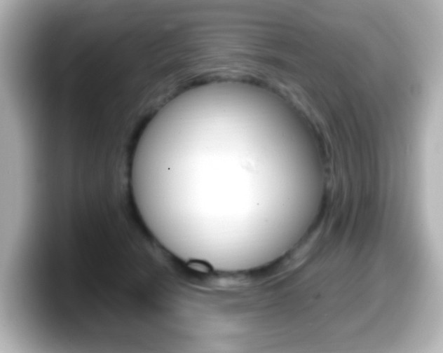 X0000099400466200805081245