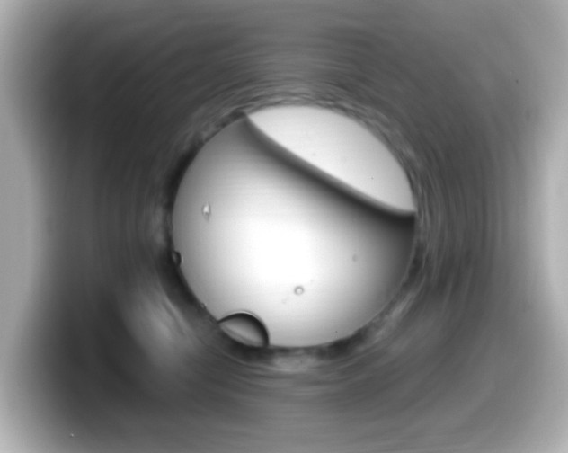 X0000099400470200805081245