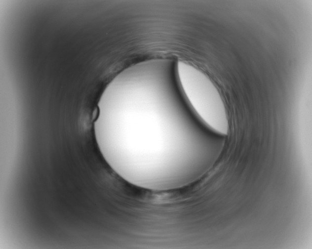 X0000099400472200805081245