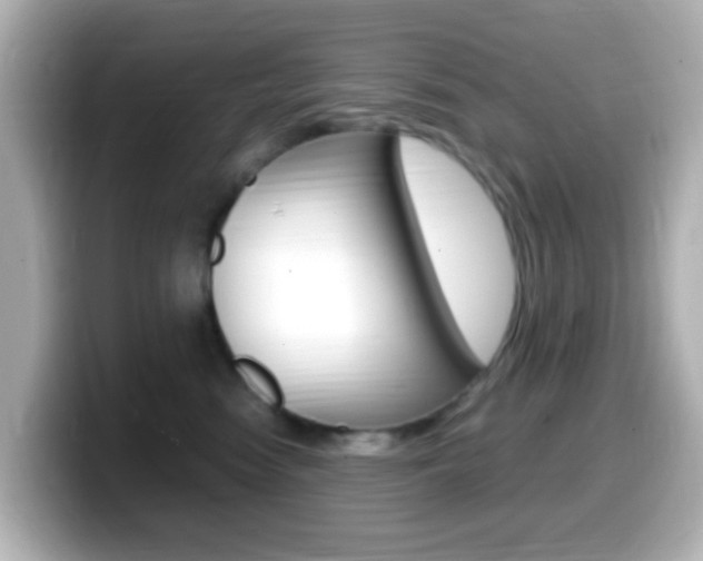 X0000099400474200805081245
