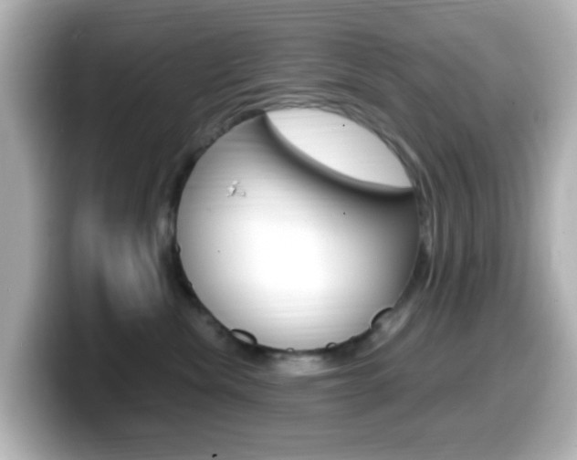 X0000099400476200805081245