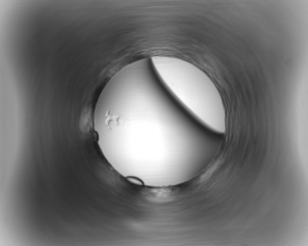 X0000099400478200805081245