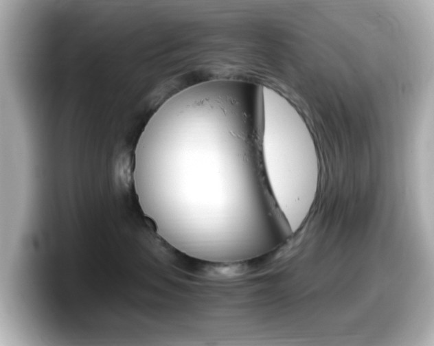 X0000099400479200805081245