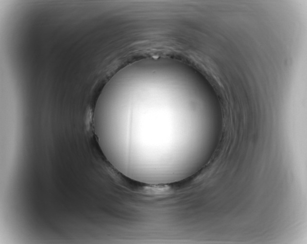 X0000099400480200805081245