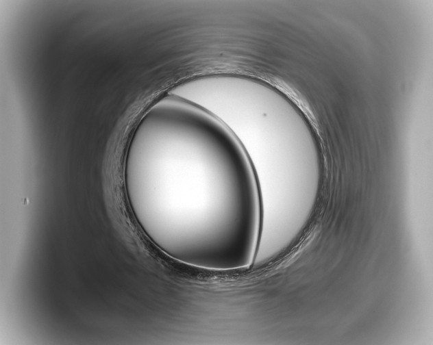 X0000099400481200805081244