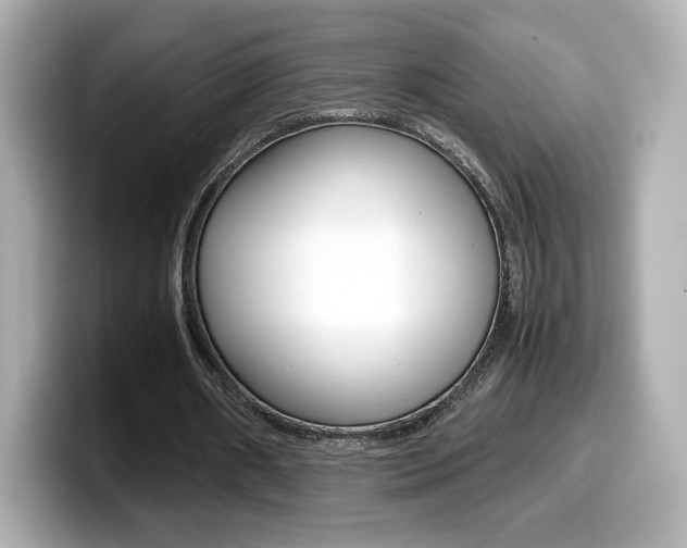 X0000099400482200805081244