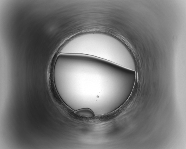 X0000099400483200805081244