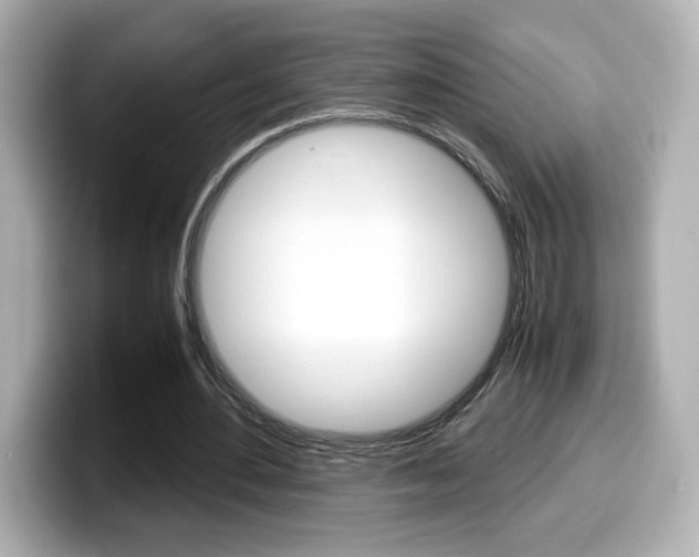 X0000099400484200805081244