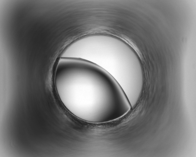 X0000099400485200805081244