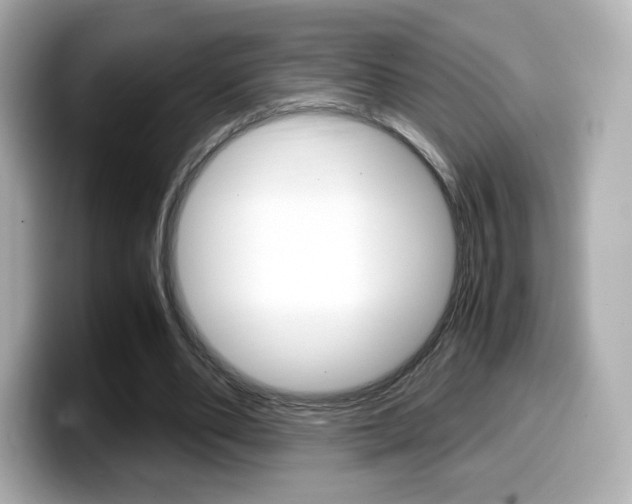 X0000099400486200805081244