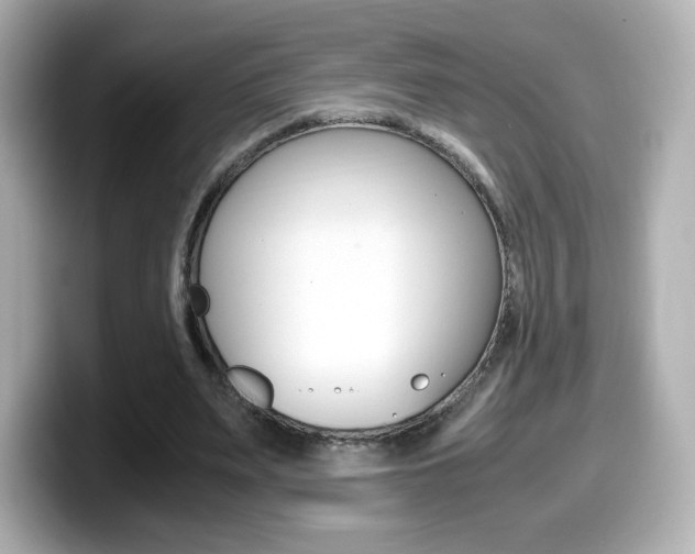 X0000099400487200805081244