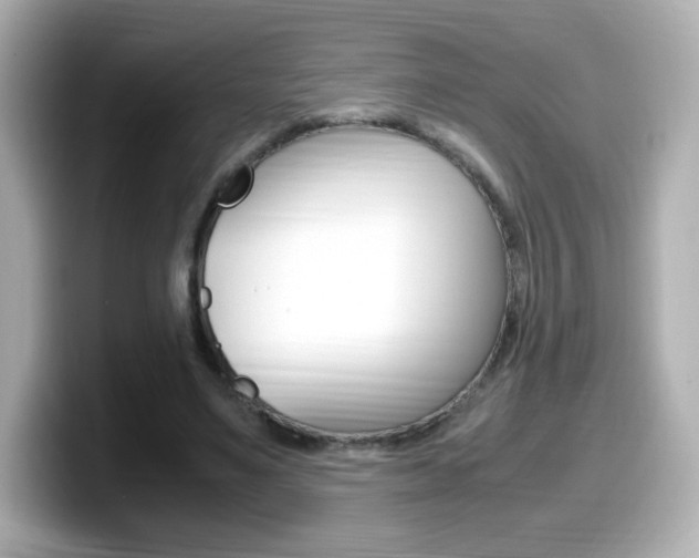 X0000099400491200805081244