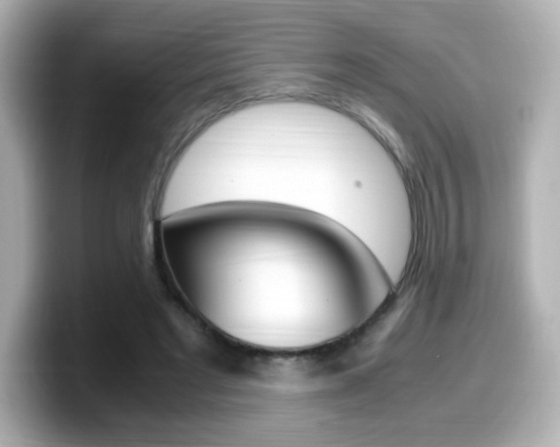 X0000099400493200805081244