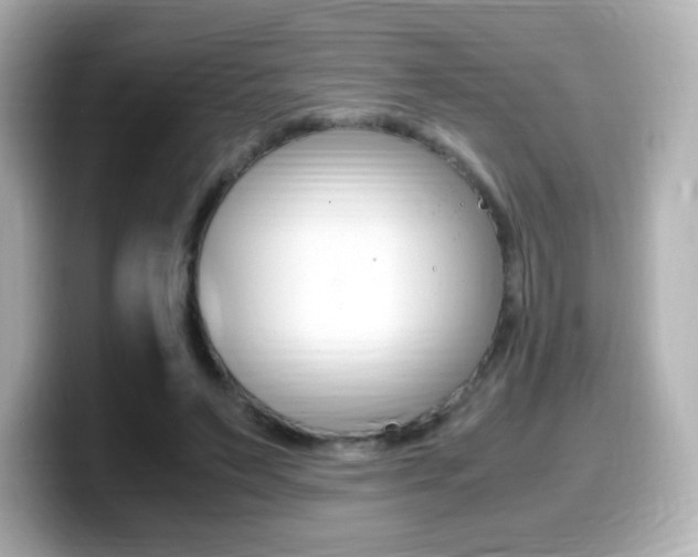 X0000099400495200805081244