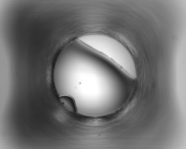 X0000099400497200805081244