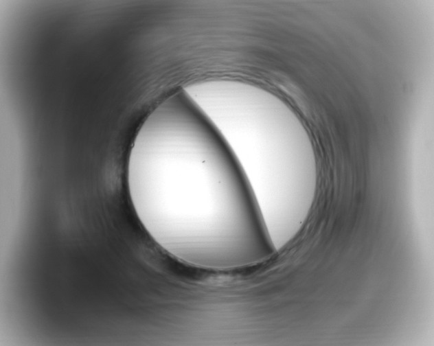 X0000099400499200805081244