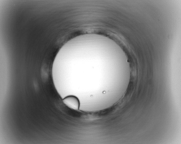 X0000099400503200805081244