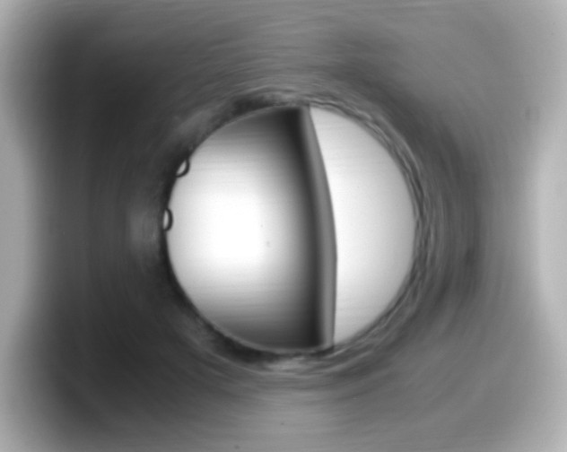 X0000099400505200805081244