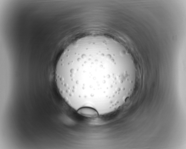 X0000099400507200805081244
