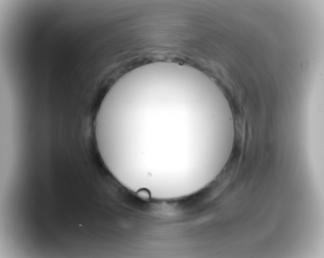 X0000099400511200805081244