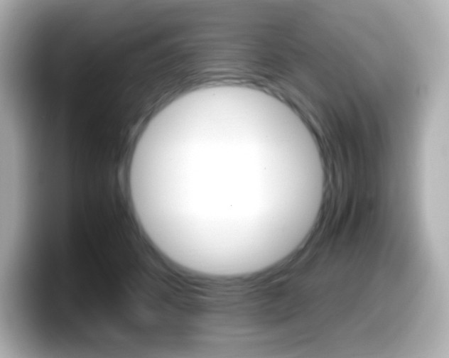 X0000099400512200805081244