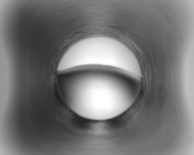 X0000099400513200805081244