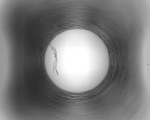 X0000099400514200805081244