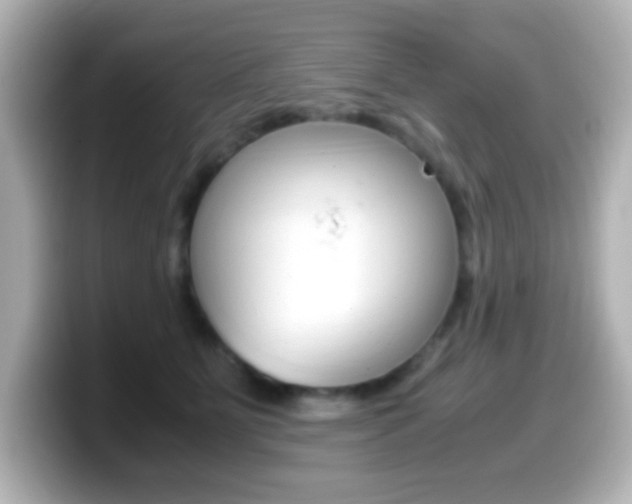 X0000099400515200805081244