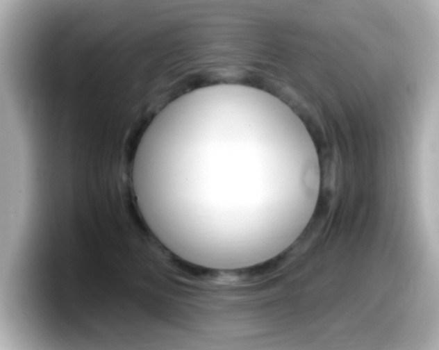 X0000099400518200805081244