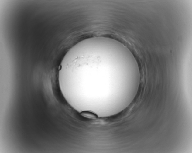 X0000099400519200805081244