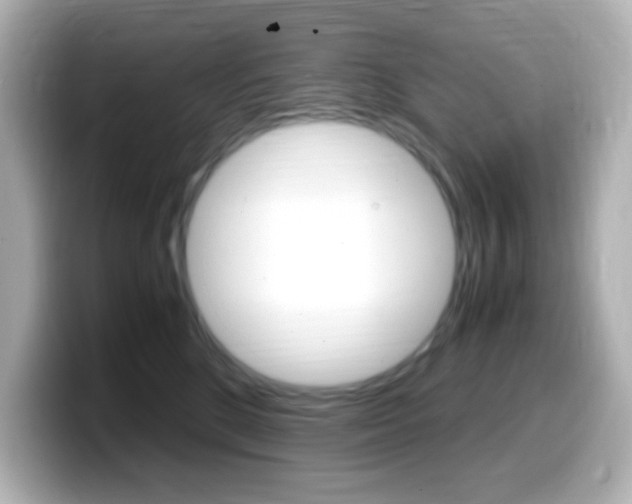 X0000099400520200805081244