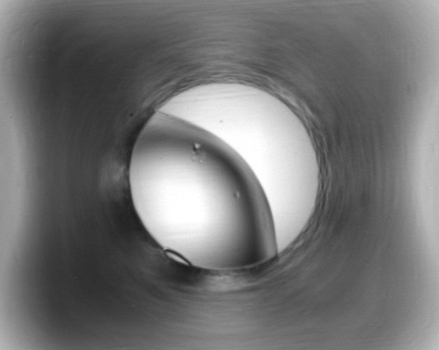 X0000099400521200805081244