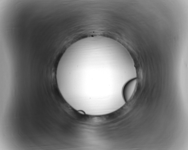 X0000099400522200805081244