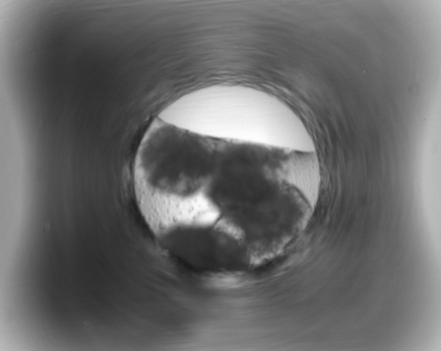 X0000099400523200805081244