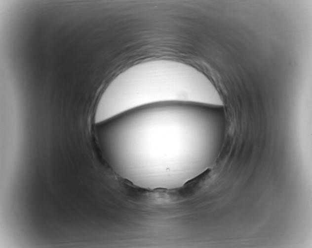 X0000099400524200805081244