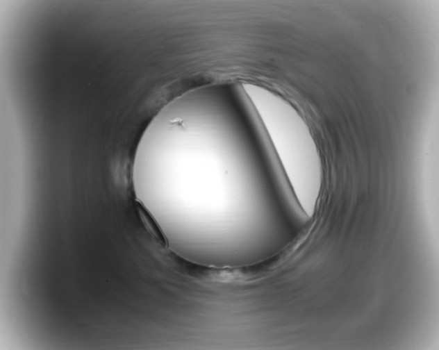 X0000099400525200805081244