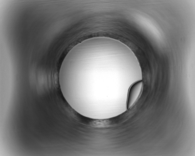 X0000099400526200805081244