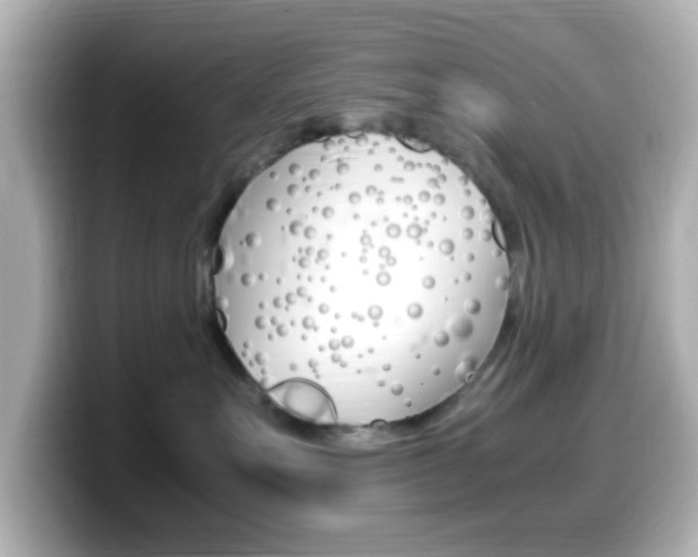 X0000099400527200805081244