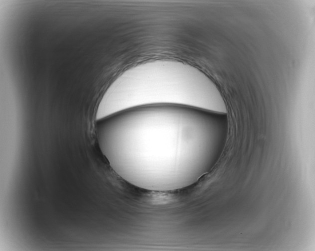 X0000099400528200805081244