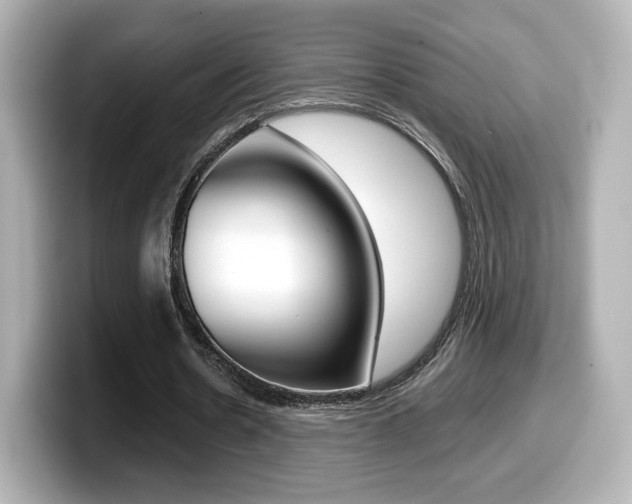 X0000099400530200805081243