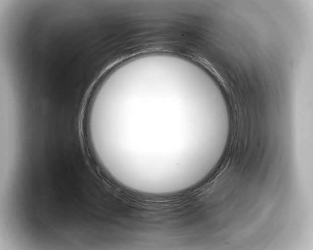 X0000099400531200805081243