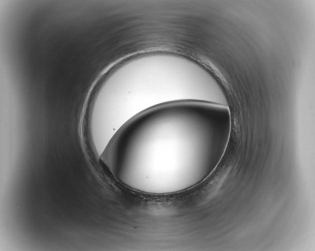 X0000099400532200805081243